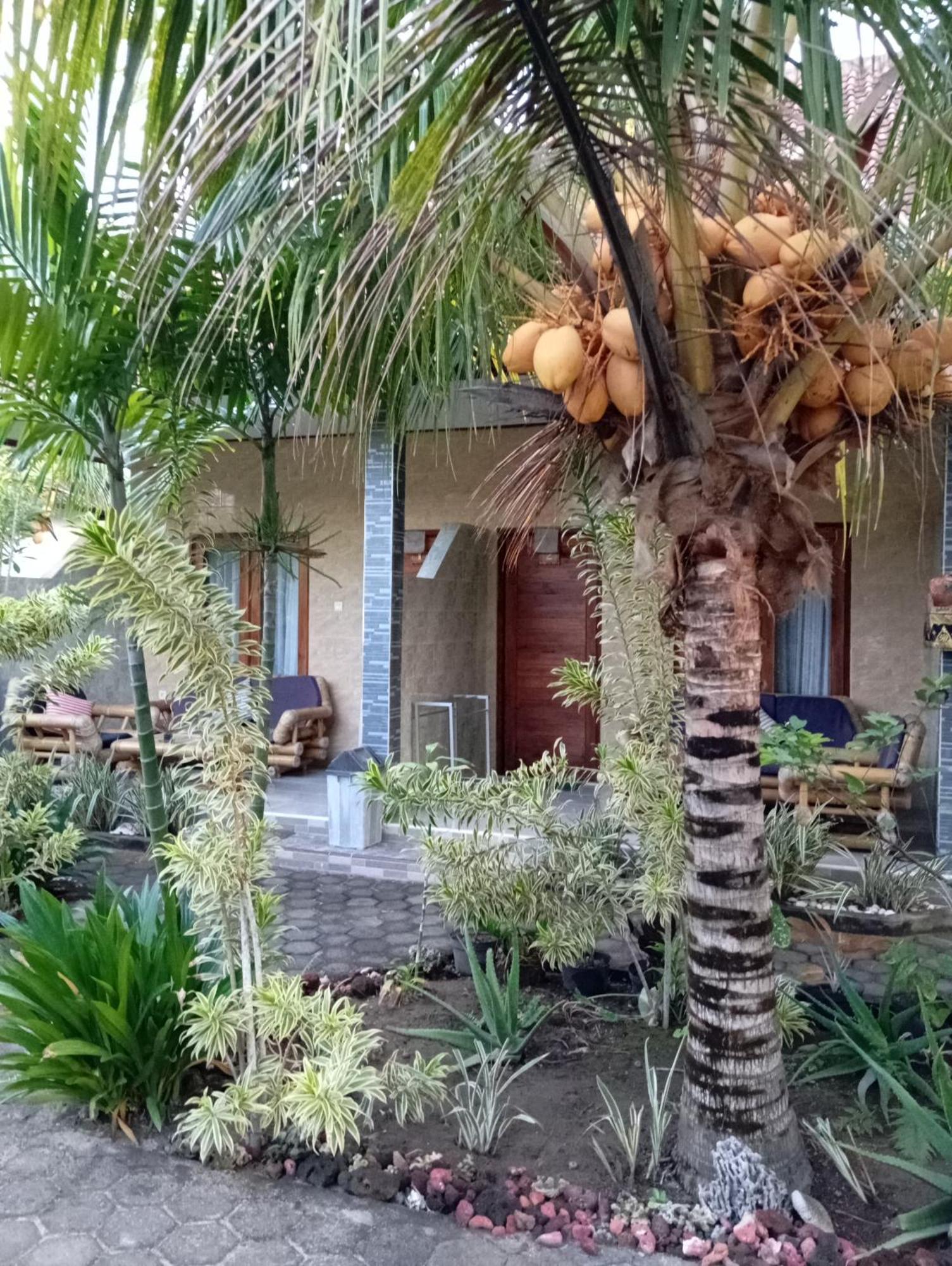 Belong Home Stay Lembongan Room photo
